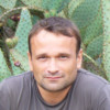 Denis Belyakov avatar image