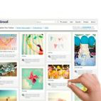 Stevie Belchak avatar image