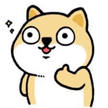 Jingyu He avatar image