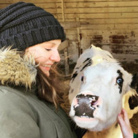 Nikki Olsen avatar image