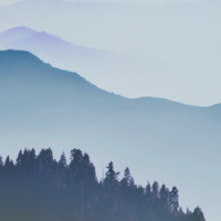 Caryn Martino avatar image