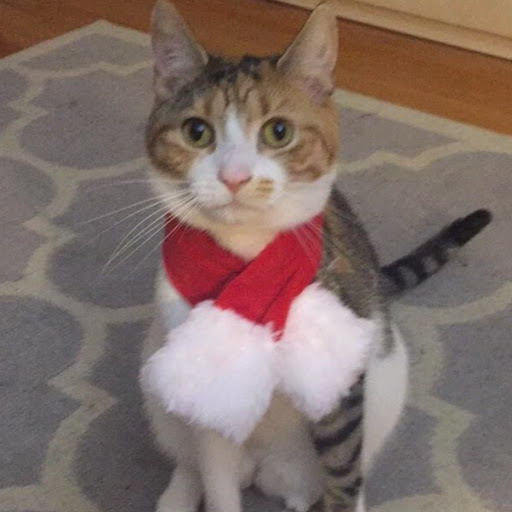 Gina LaPick avatar image