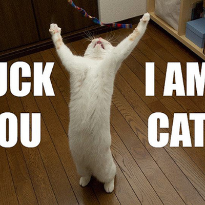 John Rowe avatar image