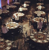 Victoria Aptekar avatar image