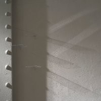 Leah Cooper avatar image