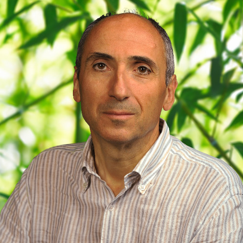 Luca Mattii avatar image