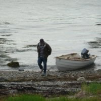 Nicholas Bruno avatar image