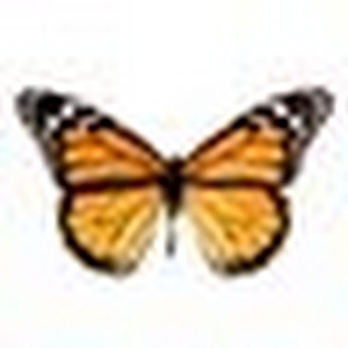 Yoni Iny avatar image