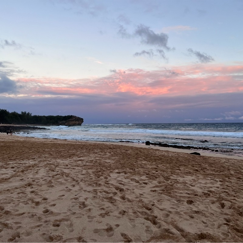 Bujee Springer avatar image