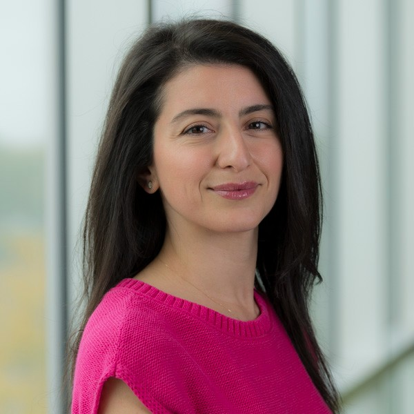 Sereen Massoud avatar image