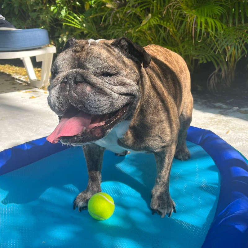 Amanda A. avatar image