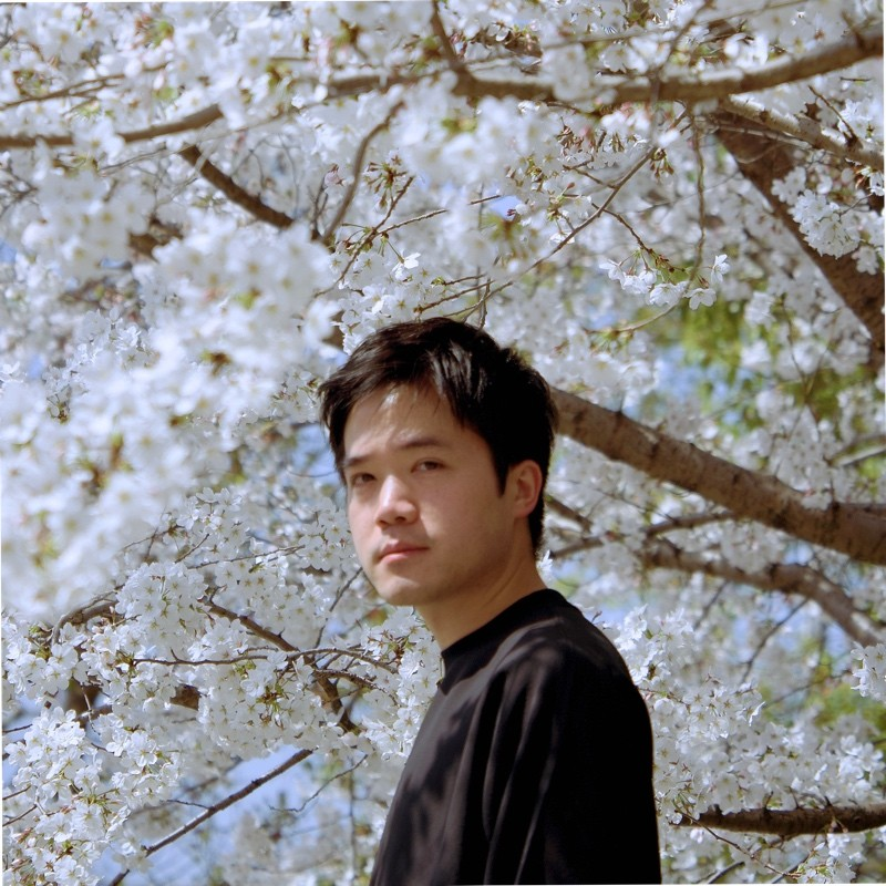 Kevin Mao avatar image