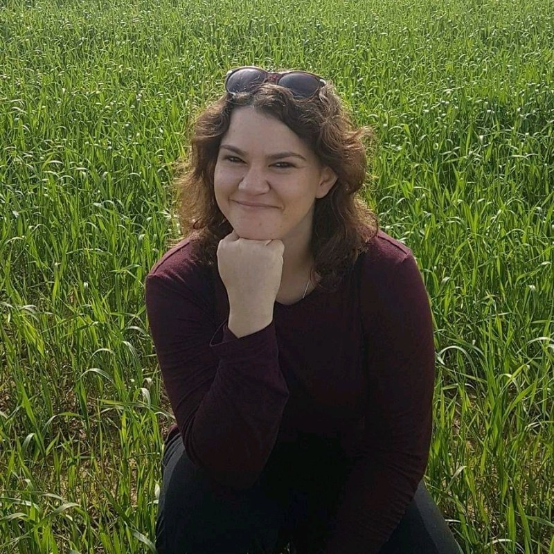 Mor Segal avatar image