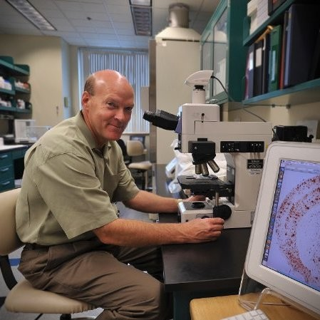 Joseph Quinn avatar image