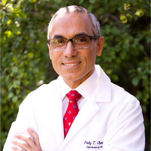 Fady Charbel avatar image