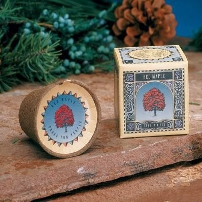 Carrie Miyake avatar image