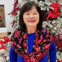 Profile Image for Judy Mao