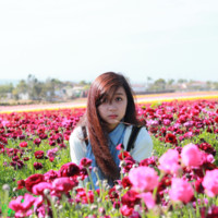 Sarah Benaires avatar image