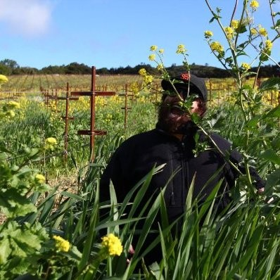 Sam Coturri avatar image