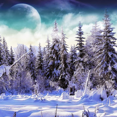 Erin Liu avatar image