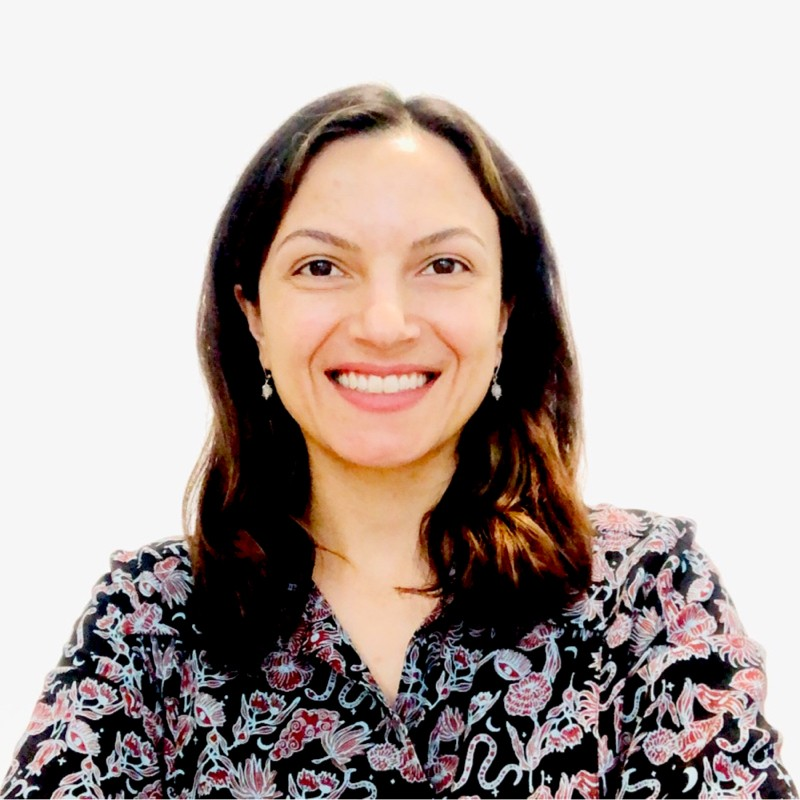 Dilek Simsek avatar image