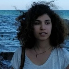 Niku Ekhtiari avatar image