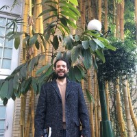 Darius Tahir avatar image