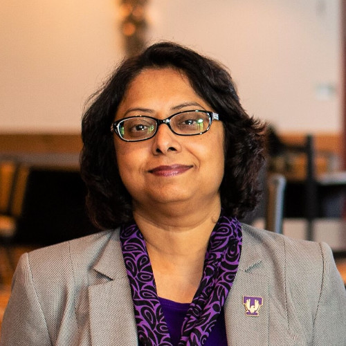 Ambareen Siraj avatar image