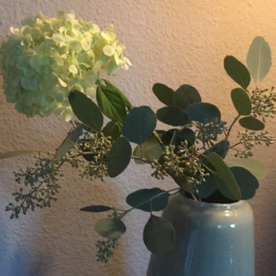 Martin Ditzel avatar image