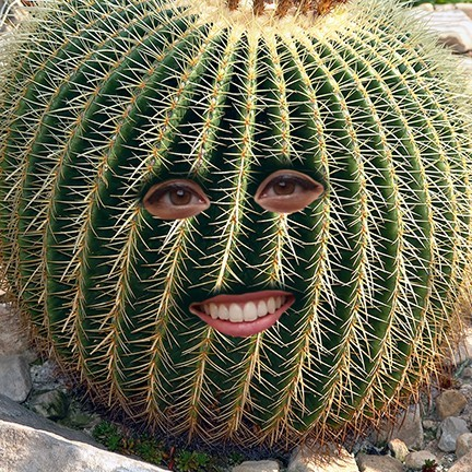 Anita Tung avatar image