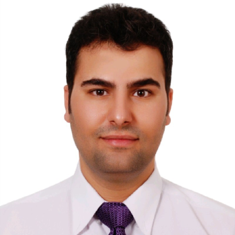 Mohammad Hamed Shirazi avatar image