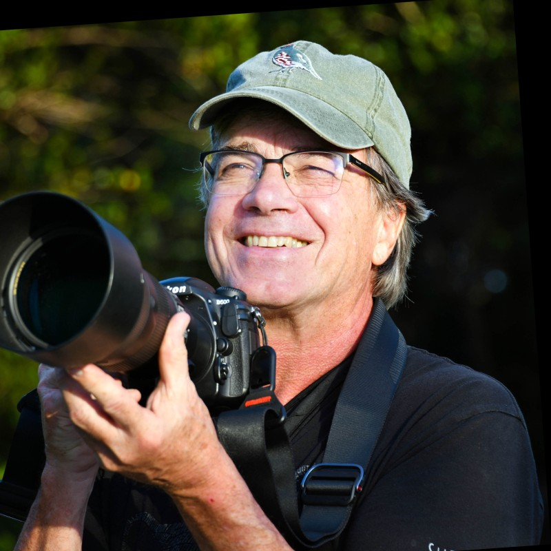 Anders Gyllenhaal avatar image