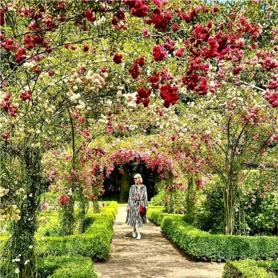 Reanne Leuning avatar image