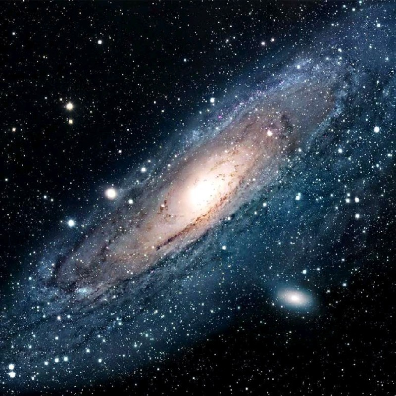 Maha Massoudi Mnasri avatar image