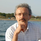 Profile Image for Vincenzo Bernabei