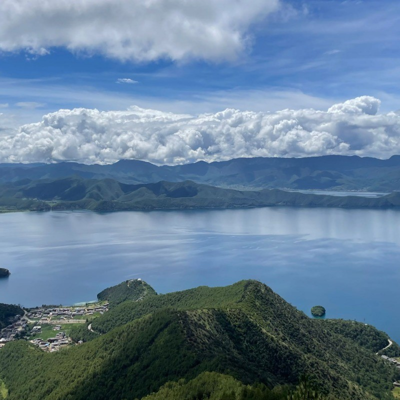 Dennis Chan avatar image