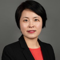 Profile Image for Lily Feng