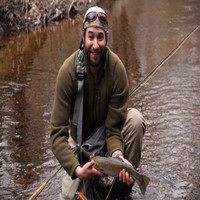 Brandon Arms avatar image