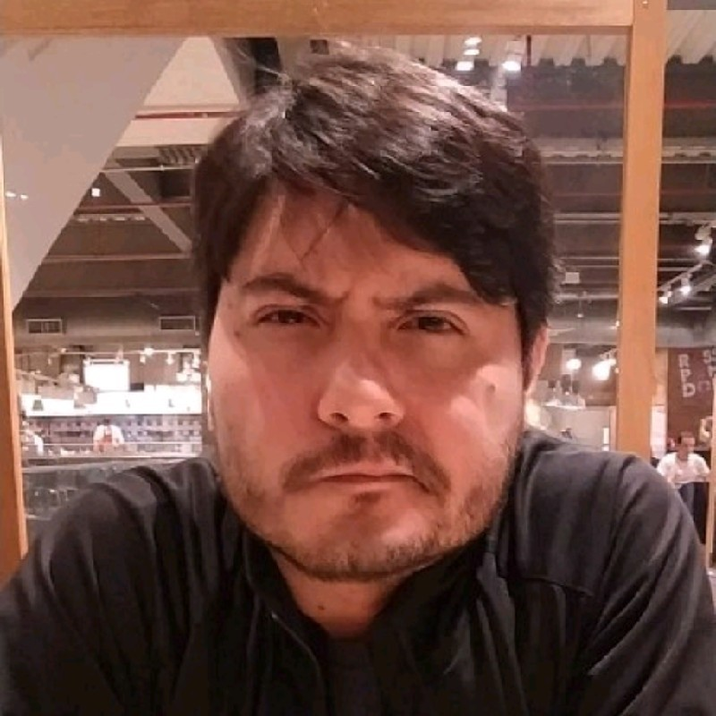 Luis Zanin avatar image