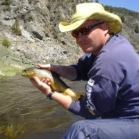 Matt Murphy avatar image