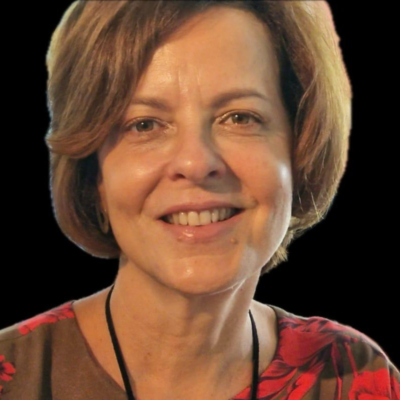 Vera Lucia Cabral Costa avatar image