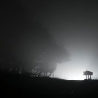 Ben Jackson avatar image