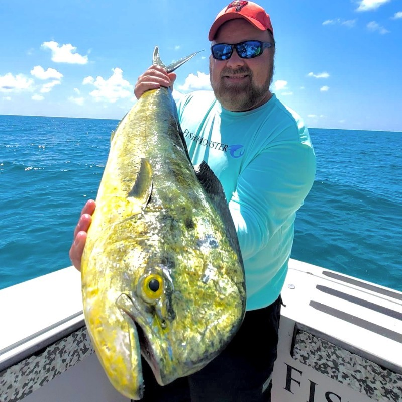 Tony Schwartz avatar image