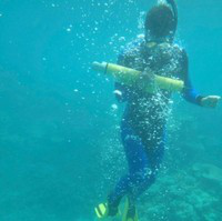 Walter Torres avatar image