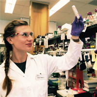 Maren Wehrs avatar image