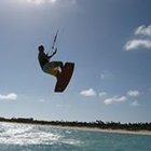 Virginia Teijeiro, PhD avatar image