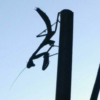 Jason Beckton avatar image