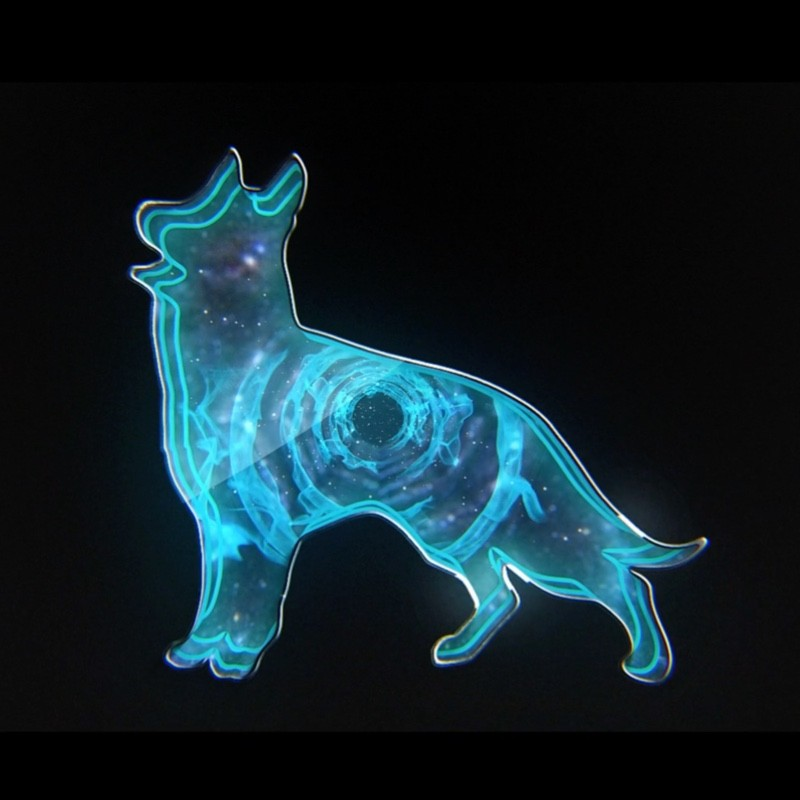 Terry Jarrell avatar image