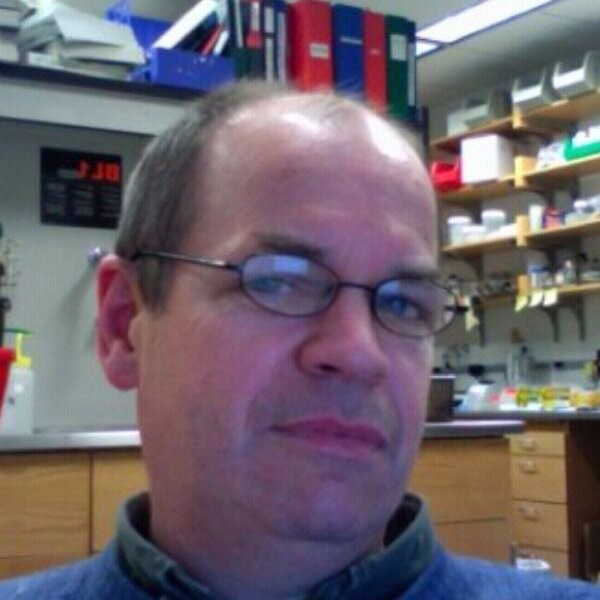 Bill Flanagan avatar image