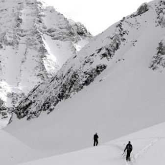 Michael Higgins avatar image